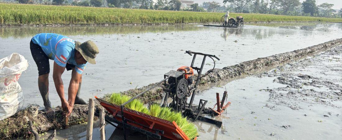Evaluasi Mesin Tanam Padi di Lahan Demplot SRP Kradenan, Trucuk, Klaten