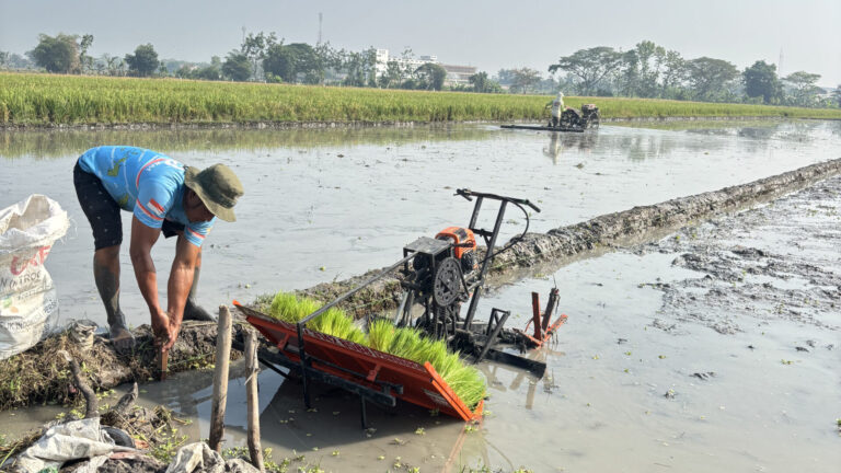 Evaluasi Mesin Tanam Padi di Lahan Demplot SRP Kradenan, Trucuk, Klaten