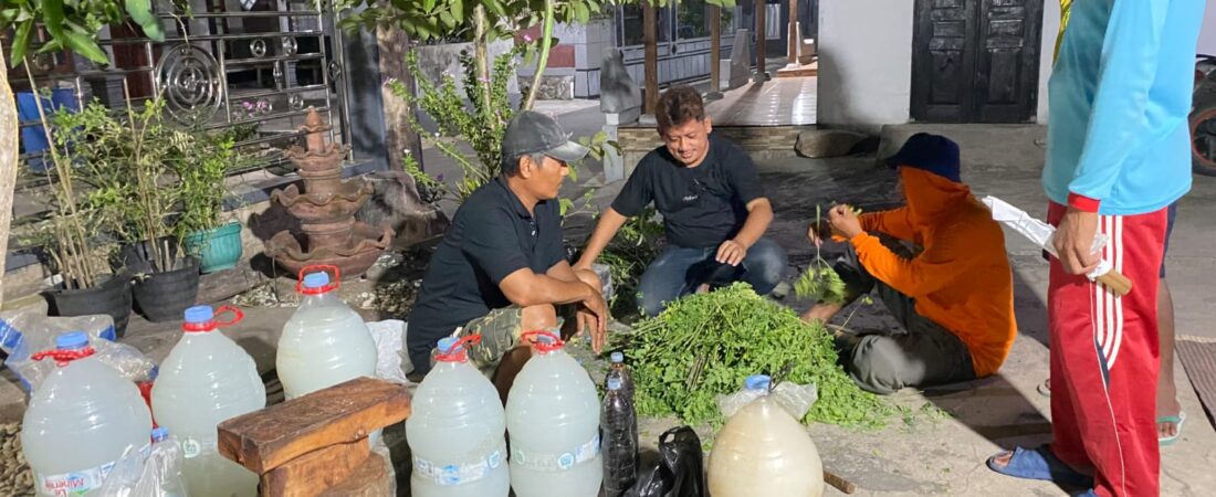 Produksi POC Beauveria bassiana dan Bacillus subtilis, KTPL Perkuat Ketersediaan Input Organik bagi Anggota dan Gapoktan Binaan
