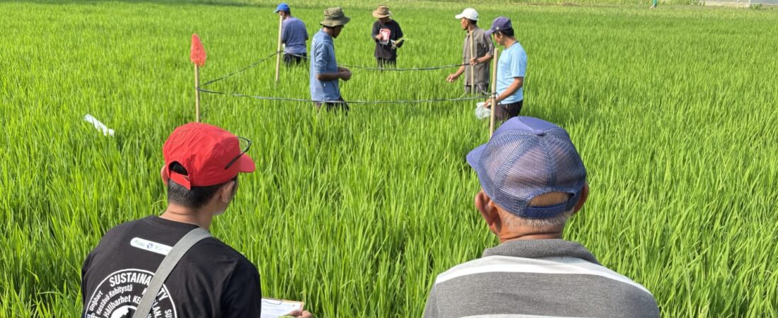 Sekolah Lapang Ketiga di Demplot SRP Tawangrejo Soroti Degradasi Lahan dan Regenerasi Petani